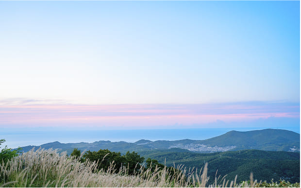 日本のカルチャーの体験